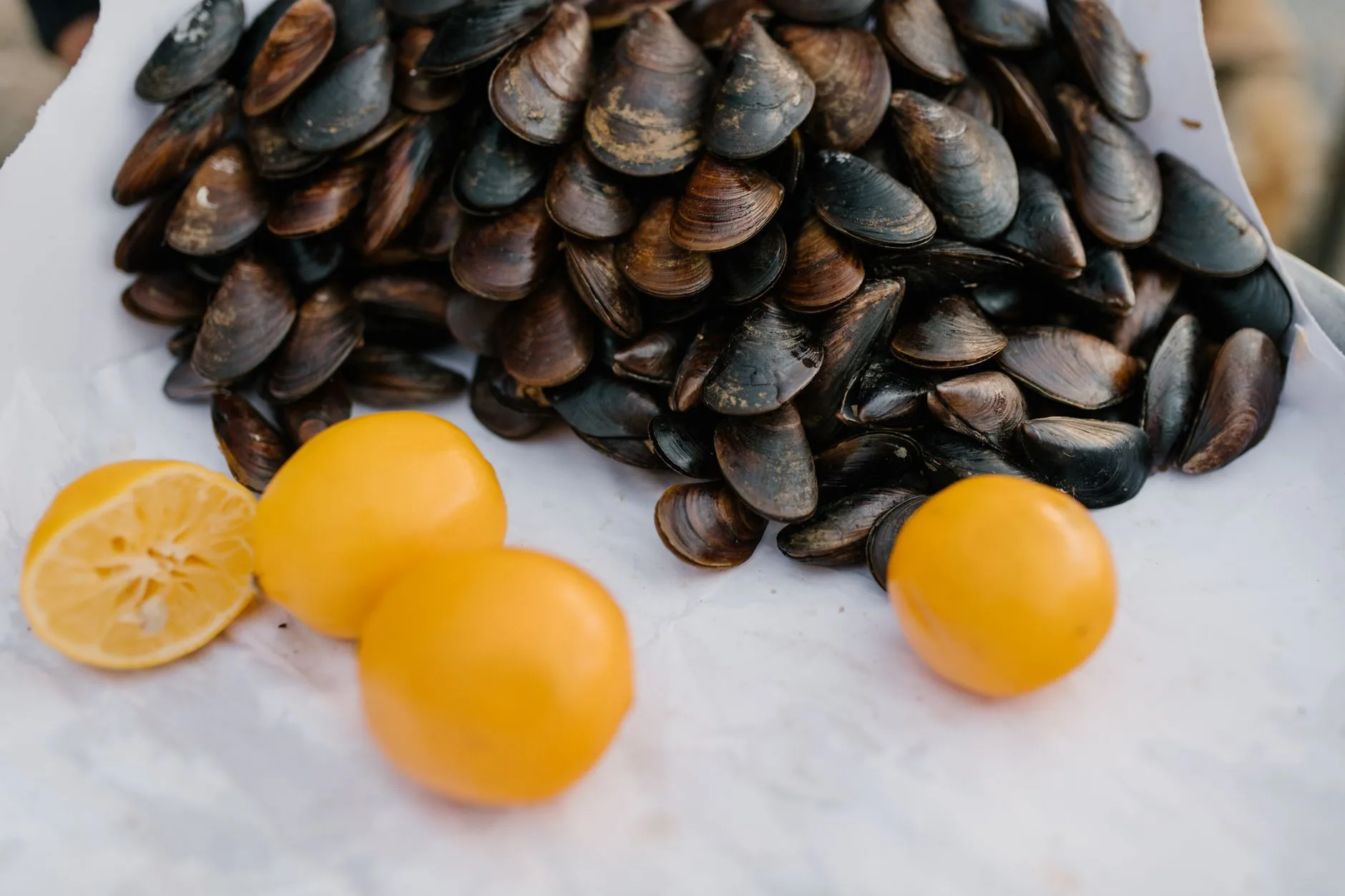 Les fruits de mer des Bouches de Kotor