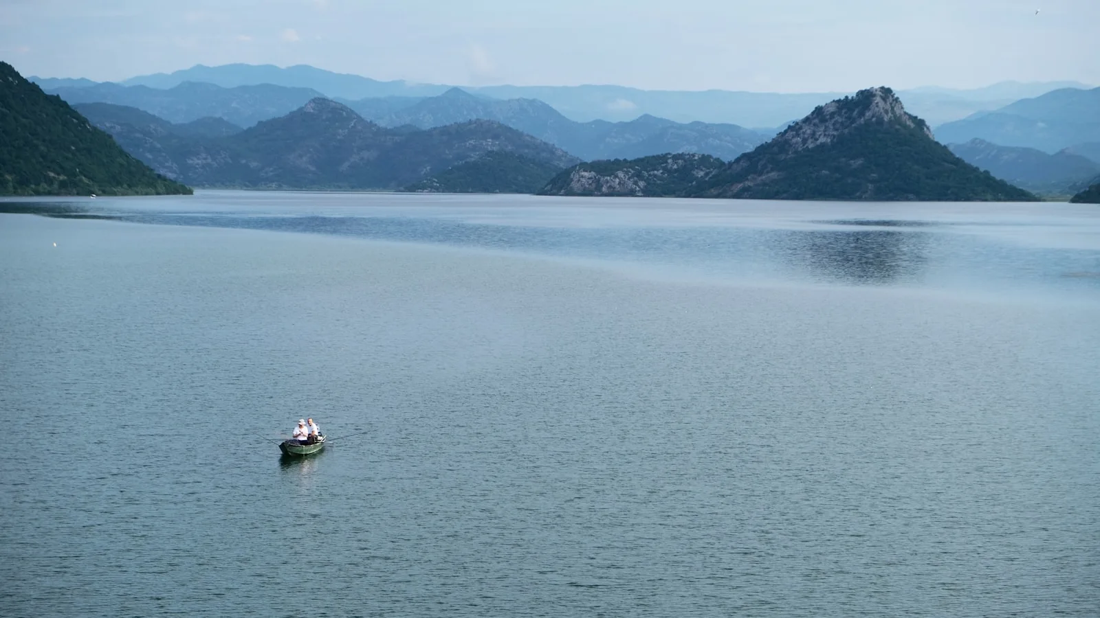 ️ Les poissons d'eau douce : lac de Skadar et rivières