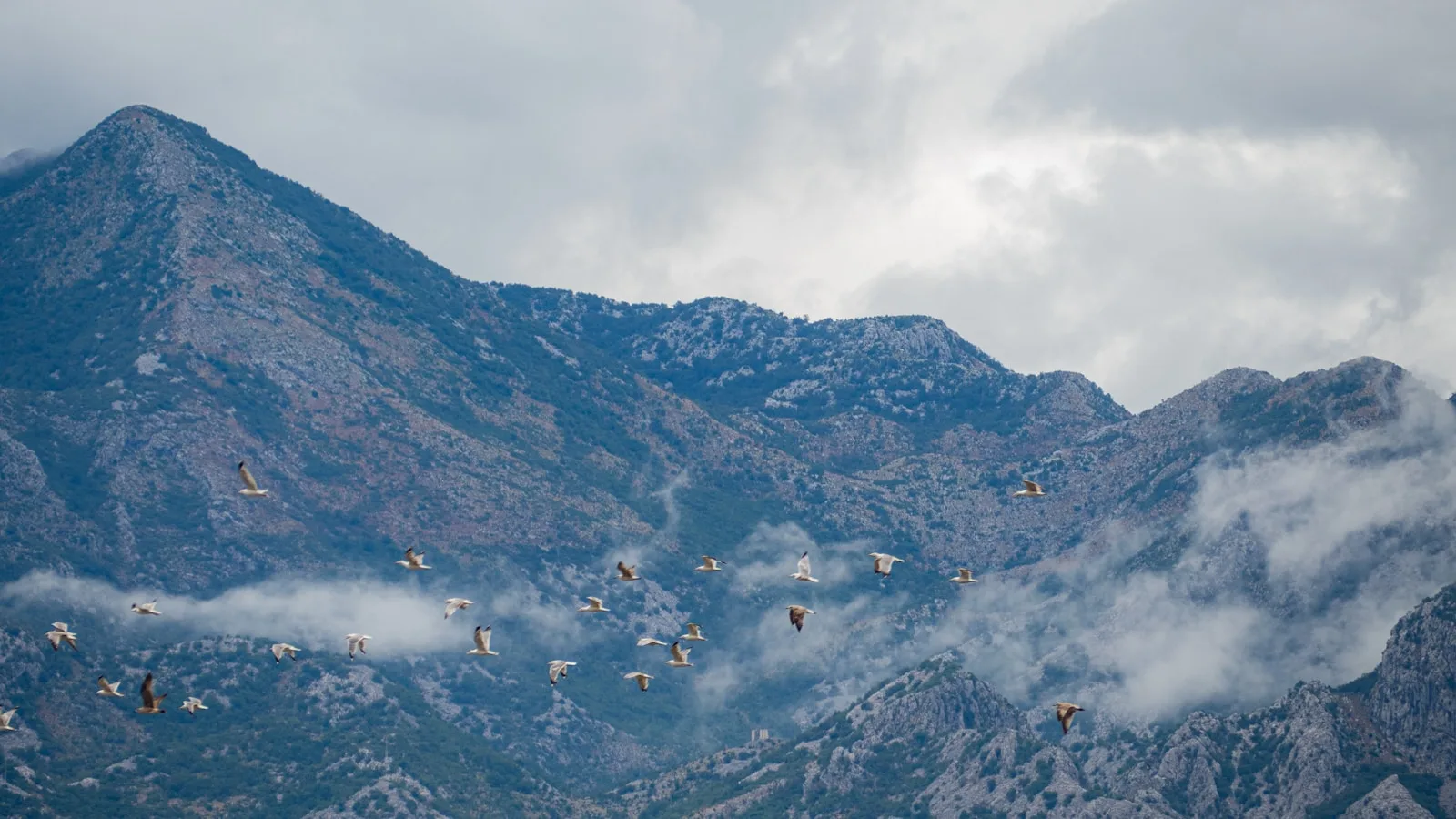 Observation des oiseaux : un sanctuaire exceptionnel