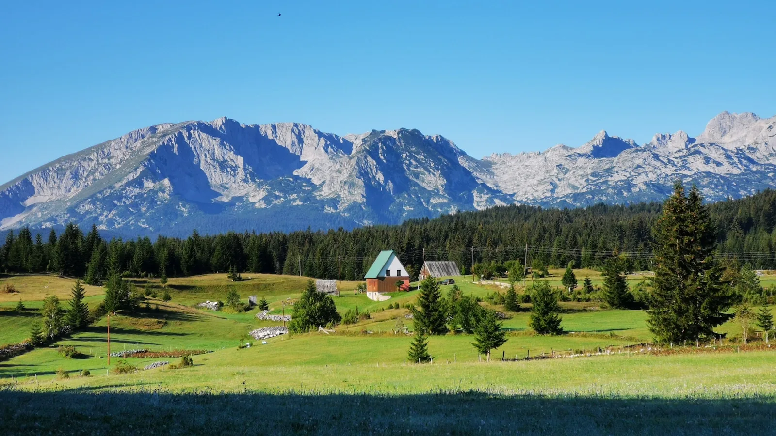 Chalets en bois dans la forêt de pins du parc national du Durmitor près de Žabljak, Monténégro